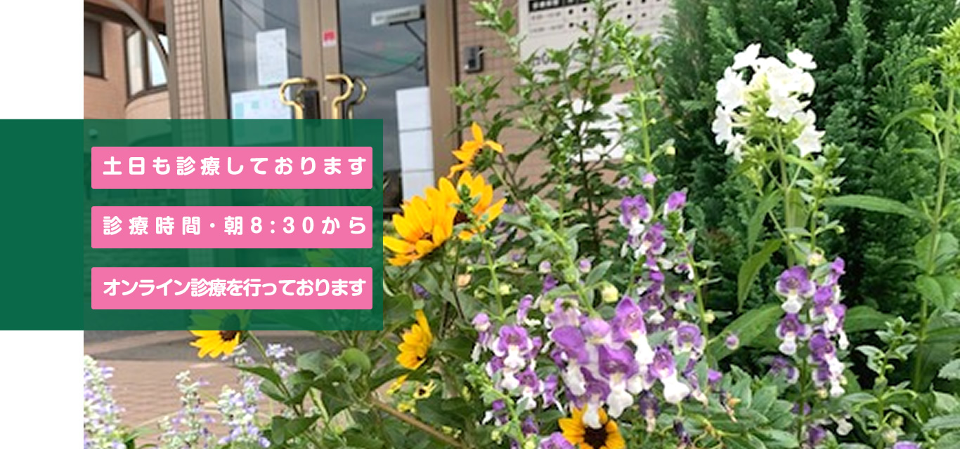 つくばフラワー耳鼻咽喉科(旧:花クリニック南大通り)