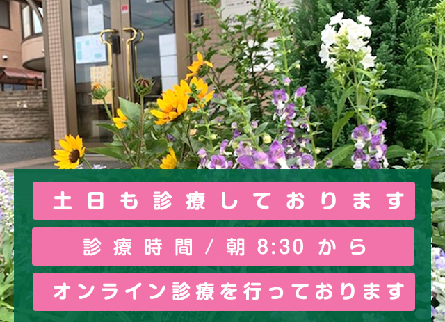 つくばフラワー耳鼻咽喉科(旧:花クリニック南大通り)