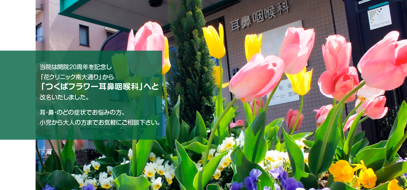 つくばフラワー耳鼻咽喉科(旧:花クリニック南大通り)