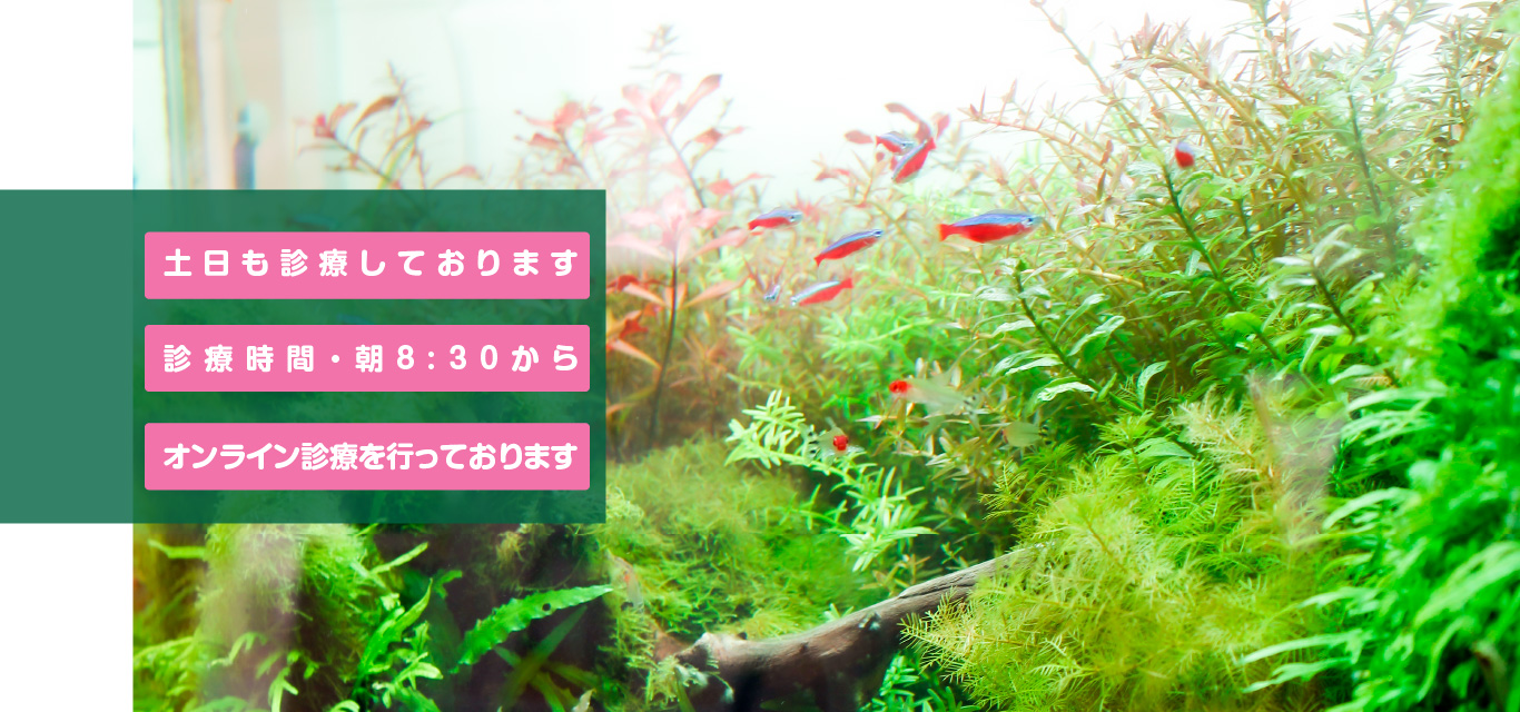 つくばフラワー耳鼻咽喉科(旧:花クリニック南大通り)