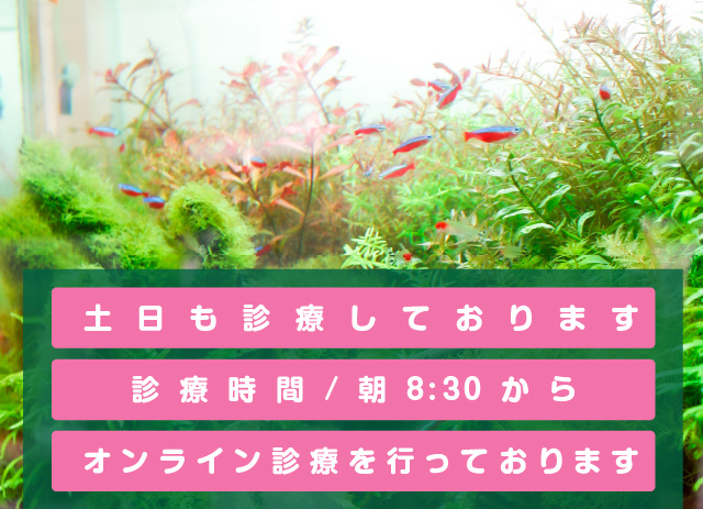 つくばフラワー耳鼻咽喉科(旧:花クリニック南大通り)