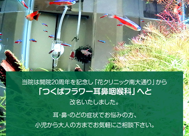 つくばフラワー耳鼻咽喉科(旧:花クリニック南大通り)