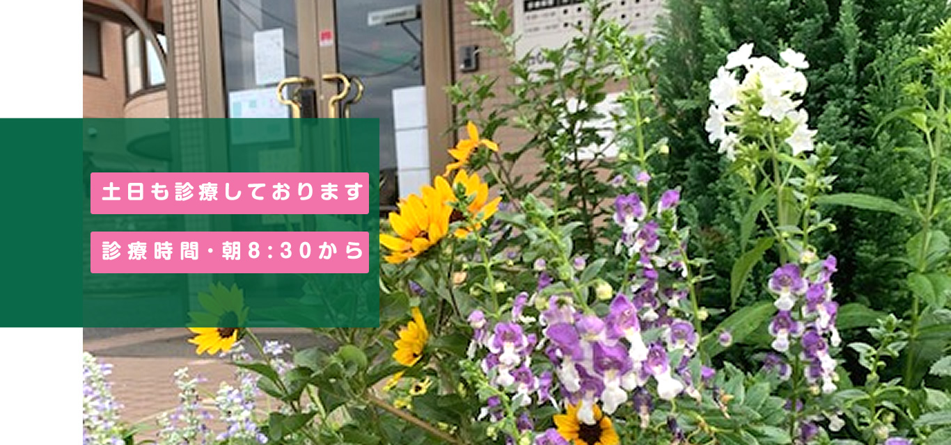 つくばフラワー耳鼻咽喉科(旧:花クリニック南大通り)